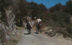 Horseback Riding, Mount Wilson Resort Postcard