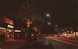 Night Lights along Palm Canyon Drive Postcard