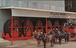 Regina's Winery Postcard