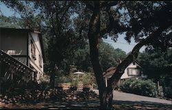 Erika's Hillside Bed and Breakfast Postcard