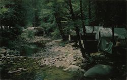 Berkely City Camp near Tuolumne Grove Postcard