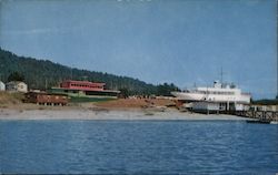 S.S. Castle Rock, Mouth of Smith River California Postcard Postcard Postcard