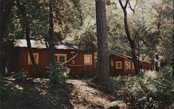 Darlingtonia Cottages Postcard
