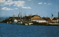 Lazio Fish Company Cannery and Fleet, Humboldt Bay Postcard