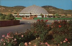 Stock #815300 Thumbnail