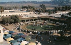 Thoroughbred racing in Southern California Postcard