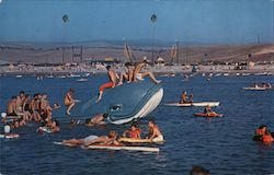 Two large plastic whales are anchored in the lagoon at Newport Dunes Newport Beach, CA Postcard Postcard Postcard