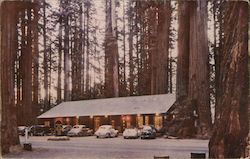 Richardson Grove State Park Postcard