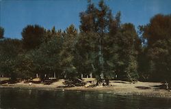 Austin's Resort Campground Postcard