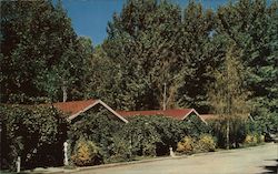 Vine Covered Cottages at Austin's Resort Clearlake Highlands, CA Postcard Postcard Postcard