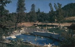 Outdoor Pool Seigler Springs Postcard