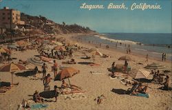 The Main Beach Postcard