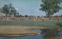 Lakewood Golf and Country Club Postcard