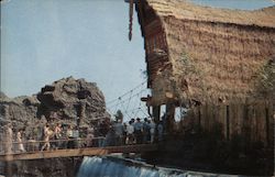 South Sea Island - Pacific Ocean Park Postcard