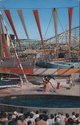 The Sea Circus Pacific Ocean Park Postcard