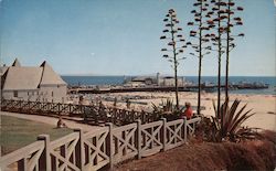 Pier from Palisades Park Santa Monica, CA Postcard Postcard Postcard