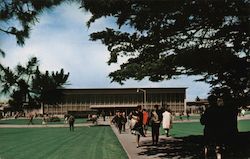 The Commons - San Francisco State College Postcard