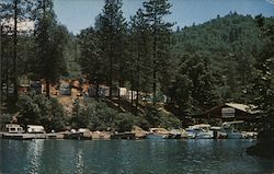 Shasta Marina Featuring Campsites, a Trailer Park, Boating Facilities Both For Fishing and Skiing O'Brien, CA Postcard Postcard Postcard