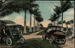 Musa Isle Farm Postcard