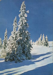 Vesele vanoce a stastny Novy rok Postcard