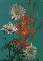 Heartfelt Wishes - Daisies and Lillies Postcard