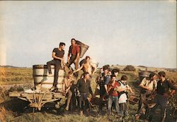 Les vendanges des charentes Postcard