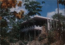 Stock #816189 Thumbnail