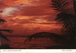 Dawn, Cayman Islands, B.W.I. Postcard