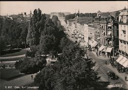 S. 857 Oslo, Karl Johansgate Norway Postcard