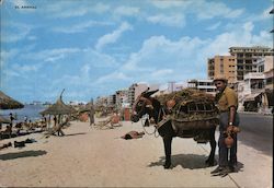 El Arenal, Playa de Palma Postcard