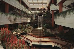 WHITE SWAN HOTEL Postcard