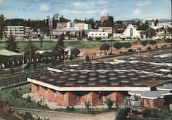 View of the City Postcard