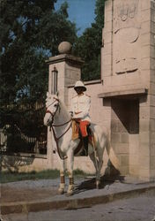 Mounted Imperial Guard Postcard