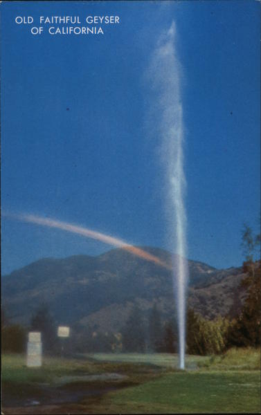 Old Faithful Geyser of California Calistoga