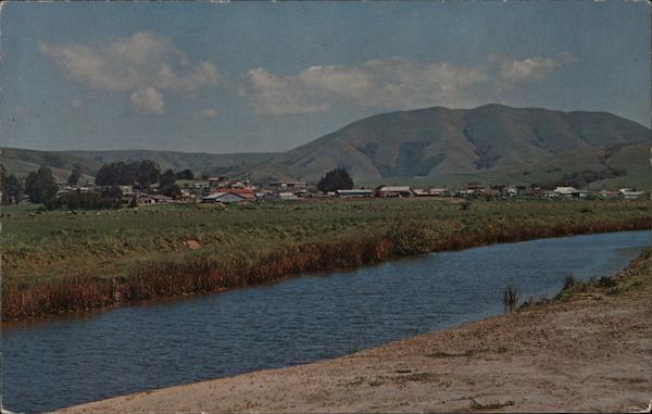 Paper Mill Creek Point Reyes Station California
