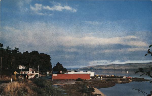 Inverness on Tomales Bay California