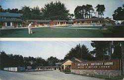 Stock #819942 Thumbnail