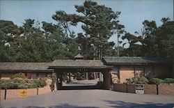 Butterfly Trees Lodge Postcard