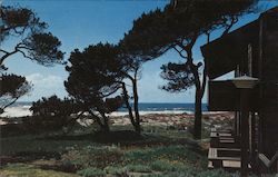 View from Spindrift, Asilomar Conference Grounds Postcard