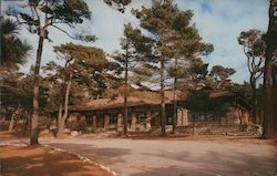 Asilomar - Front of Administration Building and Social Hall Postcard