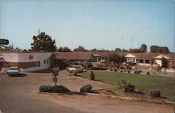 Motel Selma Postcard
