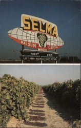 Selma - Raisin Capital of the World California Postcard Postcard Postcard