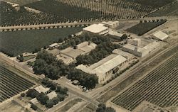 The Christian Brothers, Mount Tivy Winery Postcard
