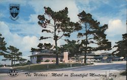 The Wilkie's Motel Postcard