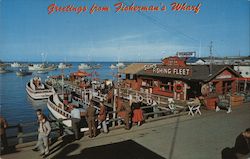 Sam's Fishing Fleet, Fisherman's Wharf Postcard