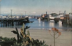 Fisherman's Wharf Postcard