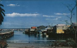 Fisherman's Wharf Postcard