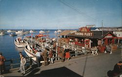 Sam's Fishing Fleet, Since 1914 Postcard