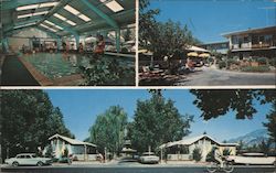 Giusto's Golden Haven Motel Hot Springs Postcard