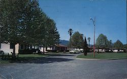 Pacheteau's Original Calistoga Hot Springs Postcard